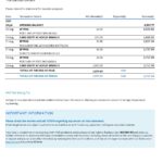 Australia ANZ proof of address bank statement template in .xls and .pdf format, 2 pages