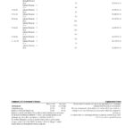 Australia NAB bank statement, Excel and PDF template, 2 pages