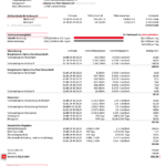 Austria EVN electricity utility bill template in Word and PDF format, language German (5 pages)