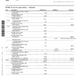 Canada Royal Bank of Canada (RBC) bank statement template in Word and PDF format (4 pages)