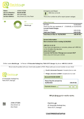 Georgia Electrics.ge electricity bill template in Word and PDF format