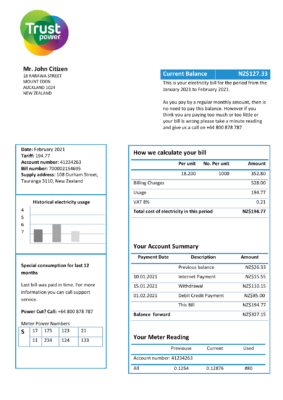 New Zealand Trustpower utility bill template in Word and PDF format