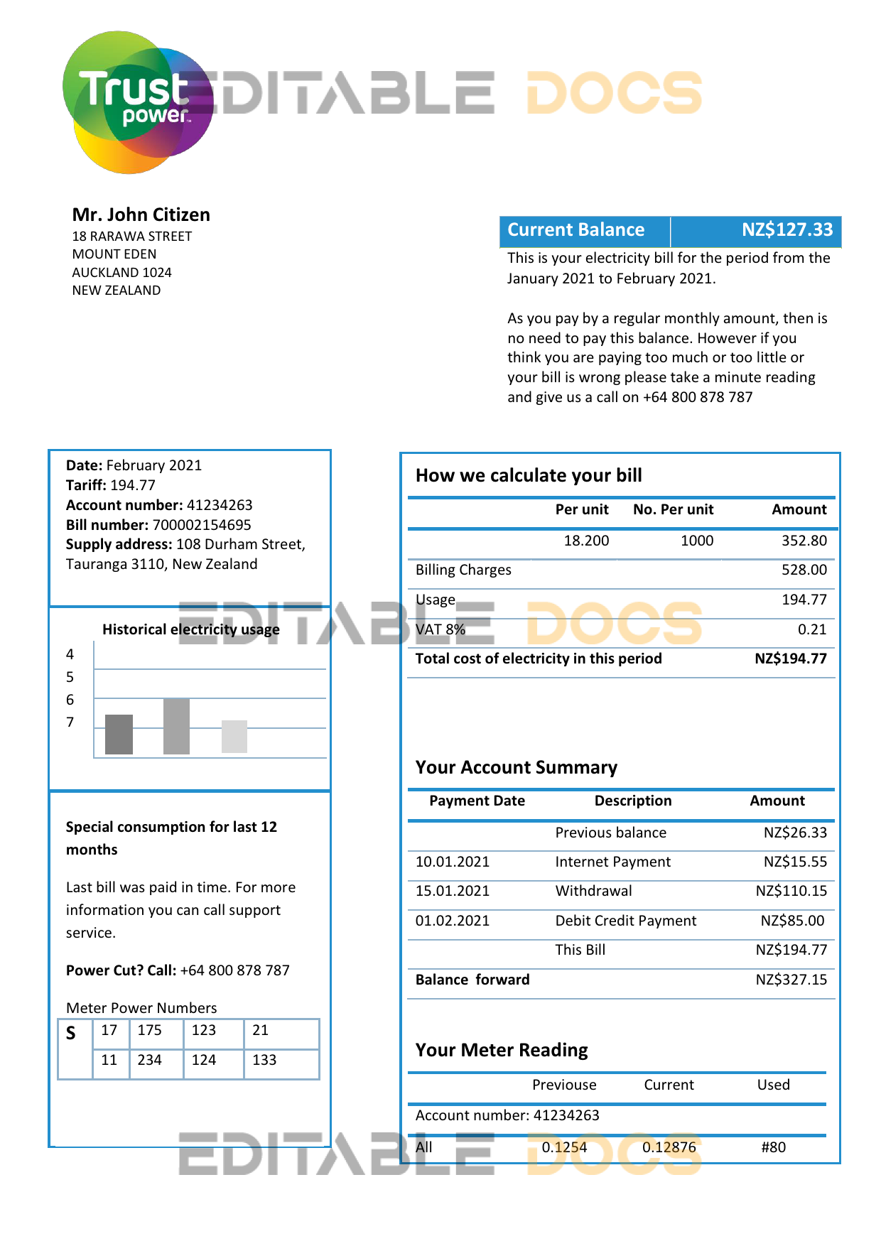 New Zealand Trustpower utility bill template in Word and PDF format