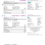 United Kingdom Octopus Energy utility bill template in Word and PDF format, 3 pages