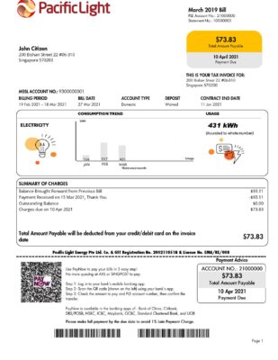 Singapore Pacific Light electricity utility bill template in Word and PDF format