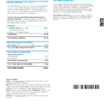 USA COX digital cable television utility bill, Word and PDF template, 2 pages