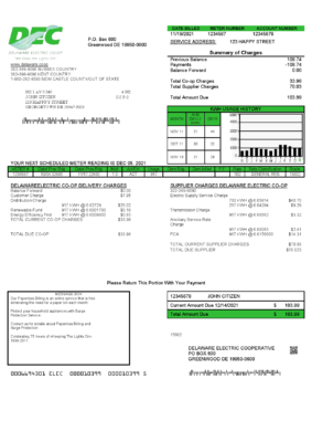 USA Delaware Electric Co-op utility bill template in Word and PDF format