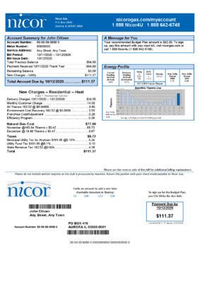 USA Illinois Nicor gas utility bill template in Word and PDF format