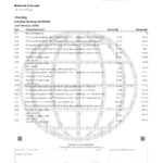 USA Navy Federal Union bank statement template in Excel and PDF format (5 pages)