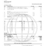USA Navy Federal Union bank statement template in Excel and PDF format (5 pages)