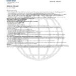 USA Navy Federal Union bank statement template in Excel and PDF format (5 pages)