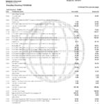 USA Navy Federal Union bank statement template in Word and PDF format (5 pages)