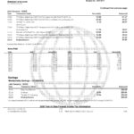 USA Navy Federal Union bank statement template in Word and PDF format (5 pages)