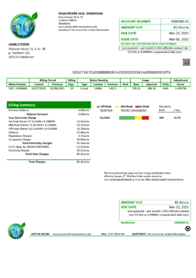 Uzbekistan GreenWorld utility bill template in Word and PDF (.doc and .pdf) format, fully editable