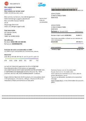 France EDF proof of address utility bill template in Word and PDF format