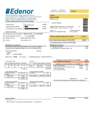Argentina Edenor easy to fill utility bill template in Word (.doc) and PDF (.pdf) format