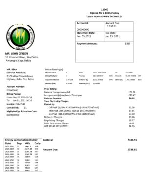 Belize Electricity Limited electricity utility bill template in Word and PDF format