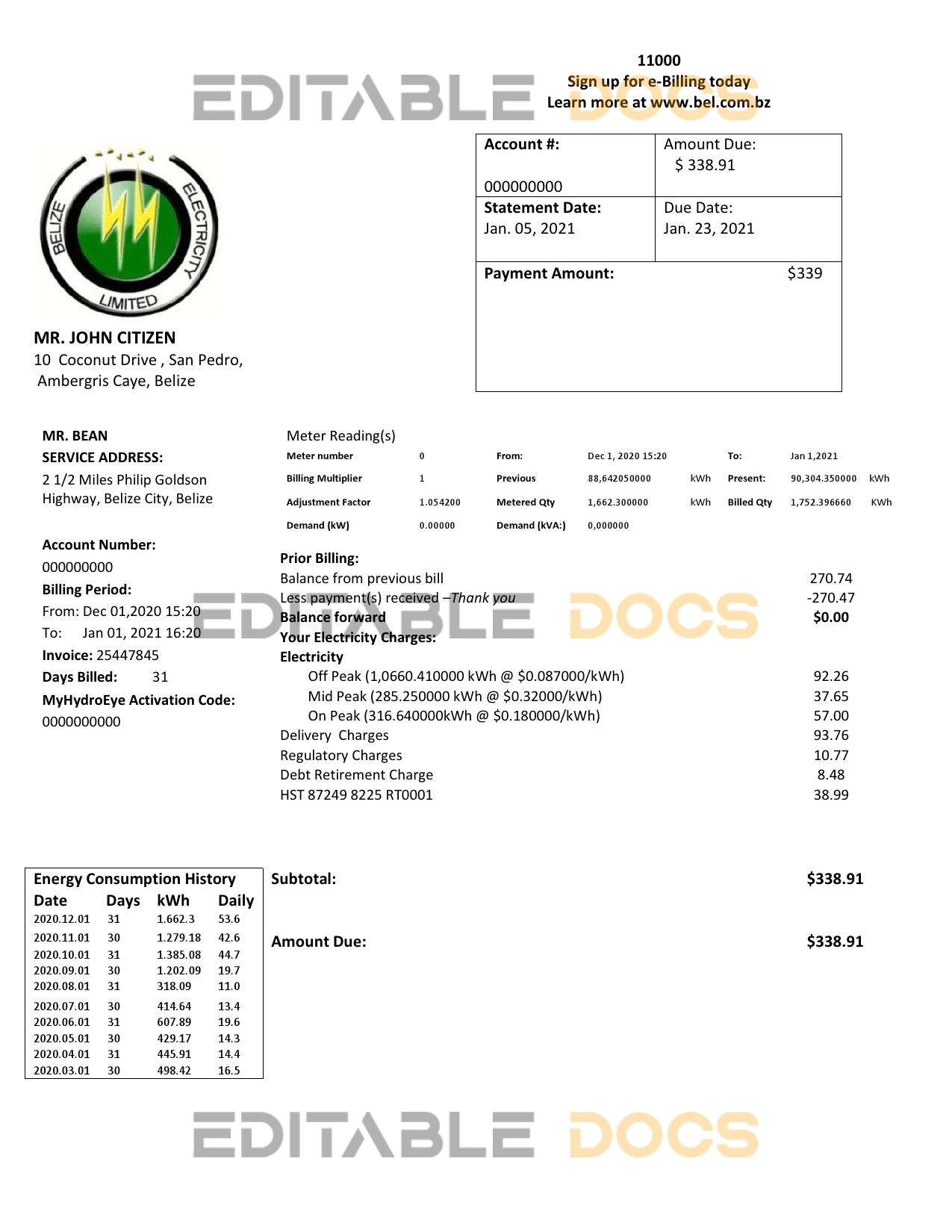 Belize Electricity Limited electricity utility bill template in Word and PDF format