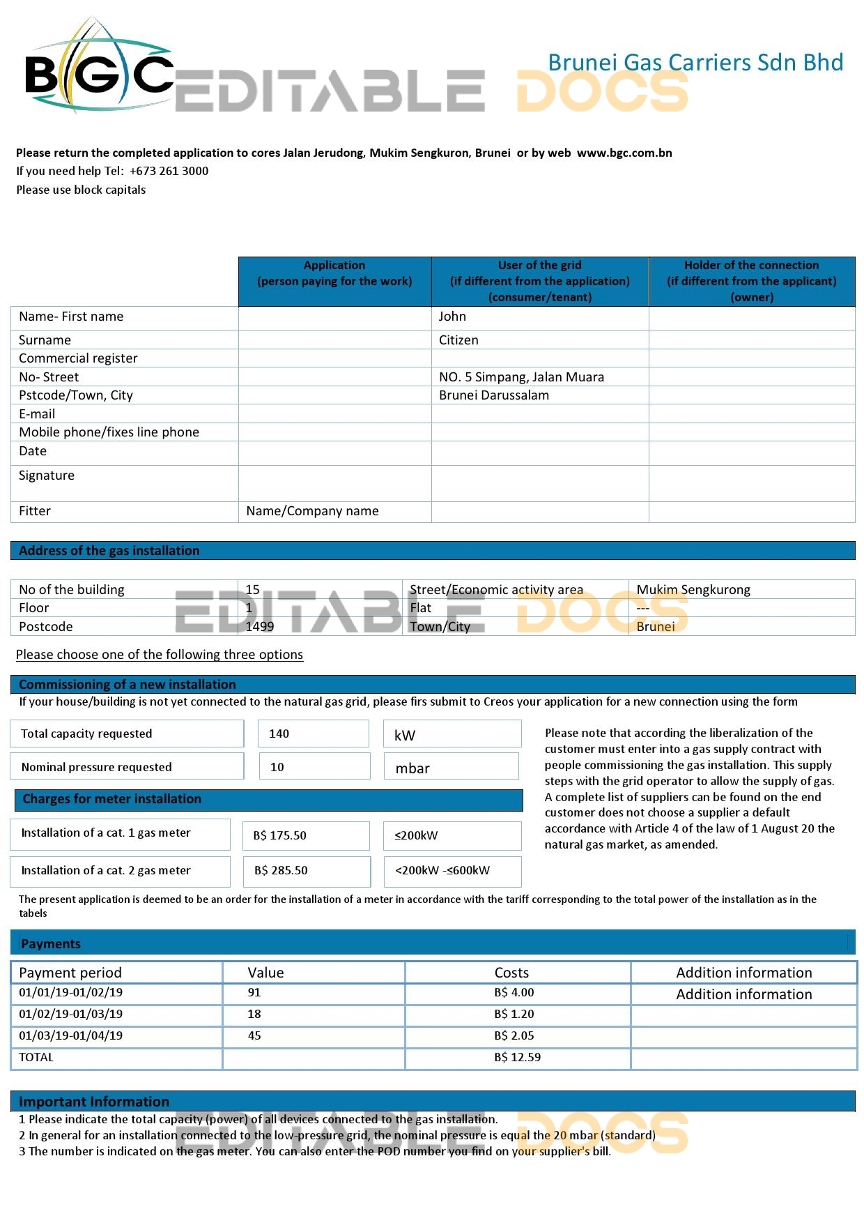 Brunei Gas Carriers gas utility bill template in Word and PDF format