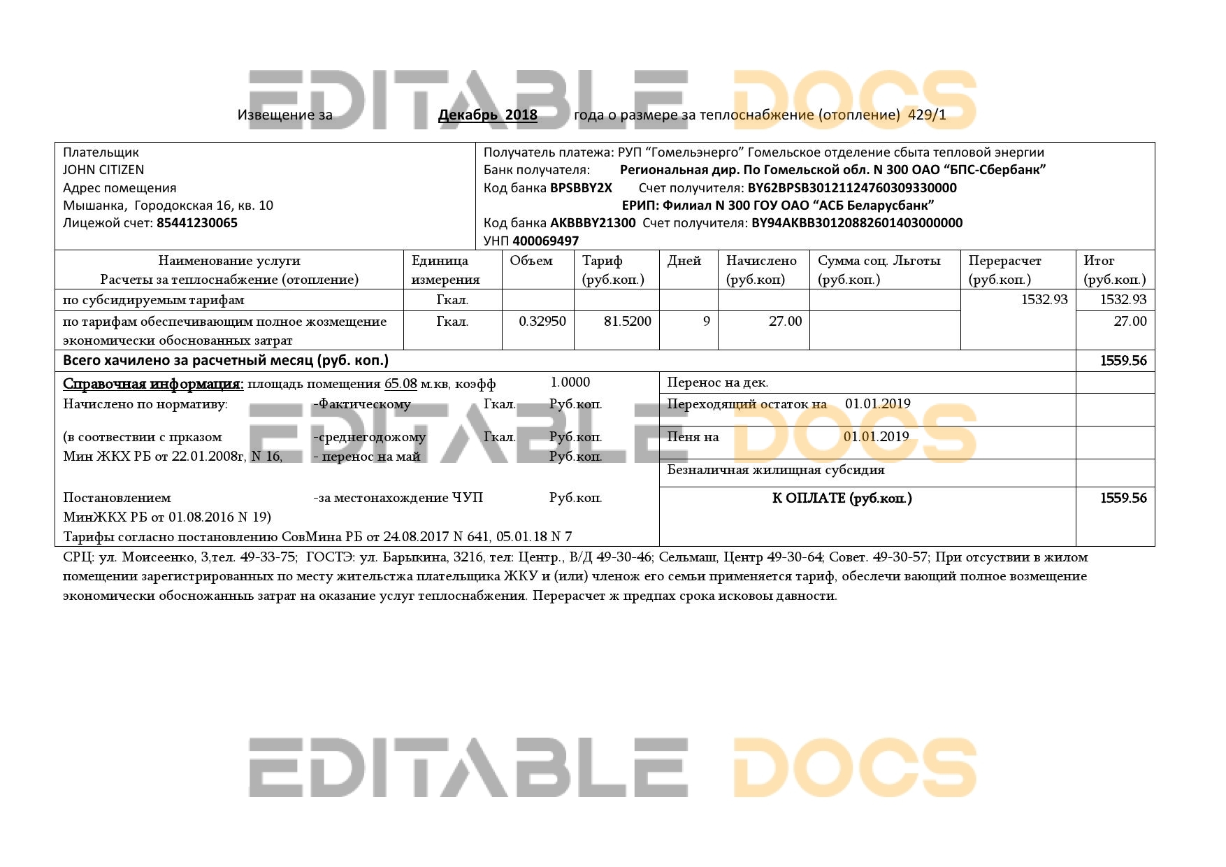 Belarus Gomel energo utility bill template in .doc and .pdf format, fully editable