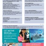 Australia NSW Hornsby Shire Council utility bill, Word and PDF template, 2 pages