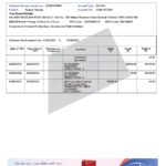 India Equitas bank statement Word and PDF template, 3 pages