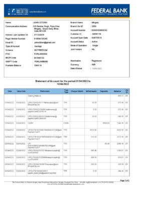 India Federal bank account statement, Word and PDF template, 3 pages 1