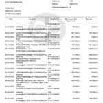 India Kotak Mahindra bank statement Word and PDF template, 7 pages