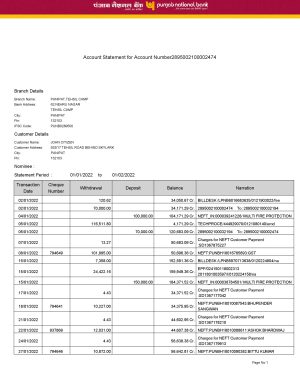 India Punjab National Bank statement Word and PDF template, 2 pages, version 2 1