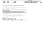 India Punjab National Bank statement Word and PDF template, 2 pages, version 2