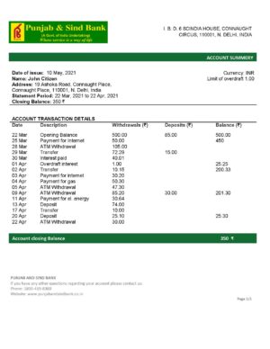 India Editable Docs 3 India Punjab and Sind Bank statement template in Word and PDF format