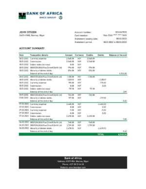 Africa Editable Docs 1 Niger Bank of Africa bank statement Excel and PDF template