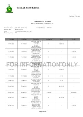 Pakistan Editable Templates 13 Pakistan Bank Al Habib bank statement Word and PDF template 2 pages 1