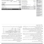 Pakistan KE Electricity bill template in Word and PDF format, 2 pages