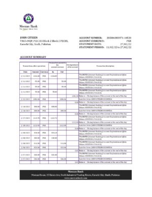 Pakistan Editable Templates 10 Pakistan Meezan bank statement Excel and PDF template