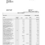 South Africa Standard bank statement, Word and PDF template, 6 pages