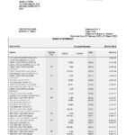 South Africa Standard bank statement, Word and PDF template, 6 pages