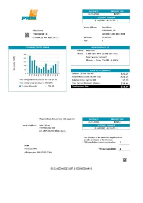 USA New Mexico PNM easy fillable utility bill template in Word and PDF format (.doc and .pdf)