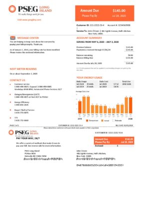 USA New Jersey PSEG electricity utility bill template in Word and PDF format, 2 pages