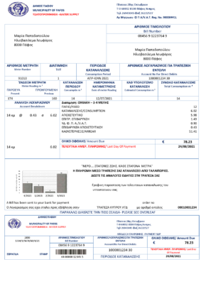 Cyprus water utility bill template in Word and PDF format, good for address prove