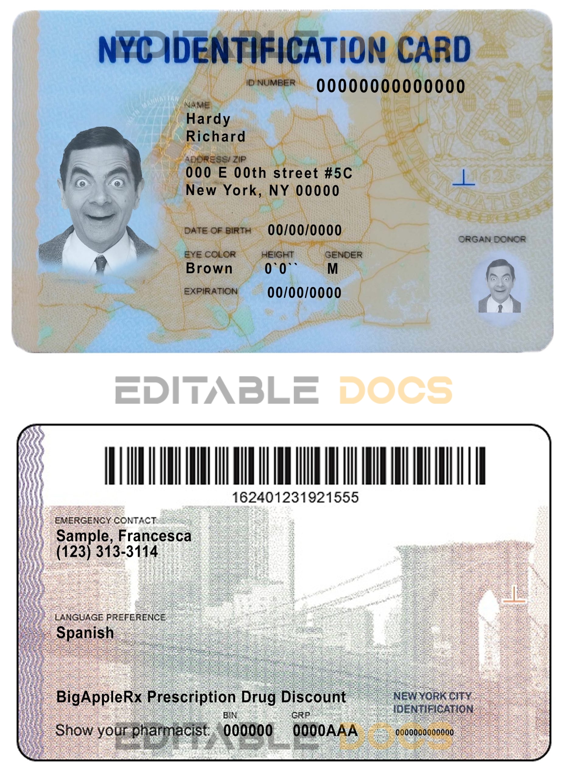 USA New York ID template in PSD format, fully editable