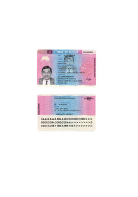 France residence permit (titre de séjour) template in PSD format, fully editable, with all fonts