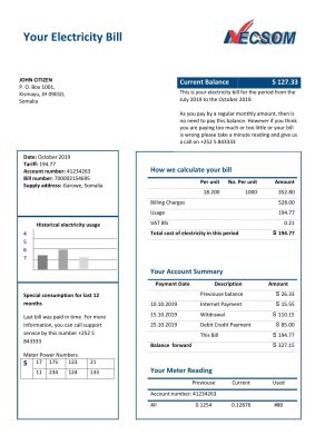 Somalia NESCOM Company electricity utility bill template in Word and PDF format