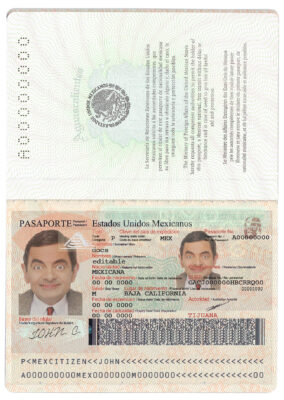 Authentic Mexico PSD Passport Template