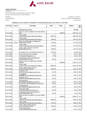India Editable Docs 11 India Axis Bank statement template in .xls and .pdf file format (2 pages)