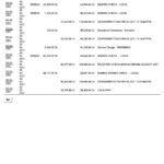 India Finacle bank statement in Word and PDF format (2 pages)