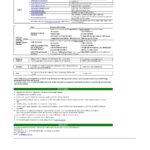 Malaysia Packet 1 Network bank statement template in Word and PDF format (3 pages)