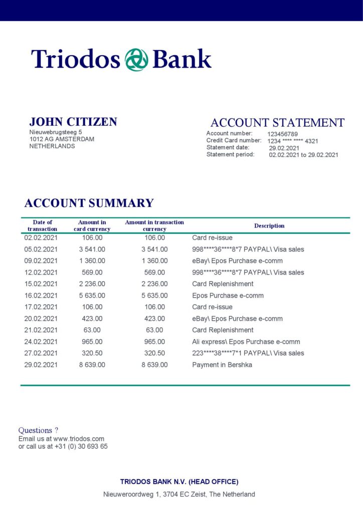 Netherlands Triodos Bank statement easy to fill template in Word and PDF format