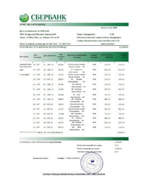Russia Editable Templates 10 Russia Sberbank bank statement easy to fill template in Excel and PDF format