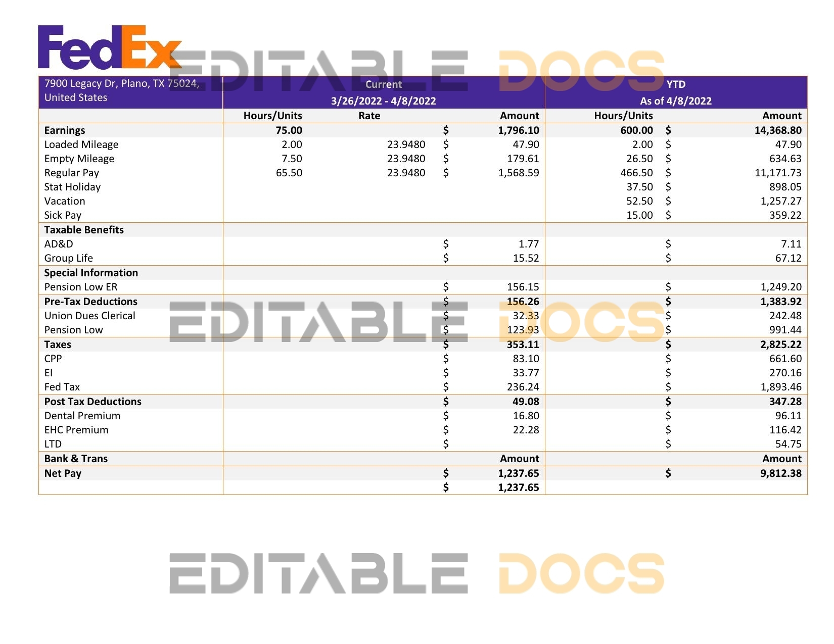 USA Fedex transportation company pay stub Word and PDF template